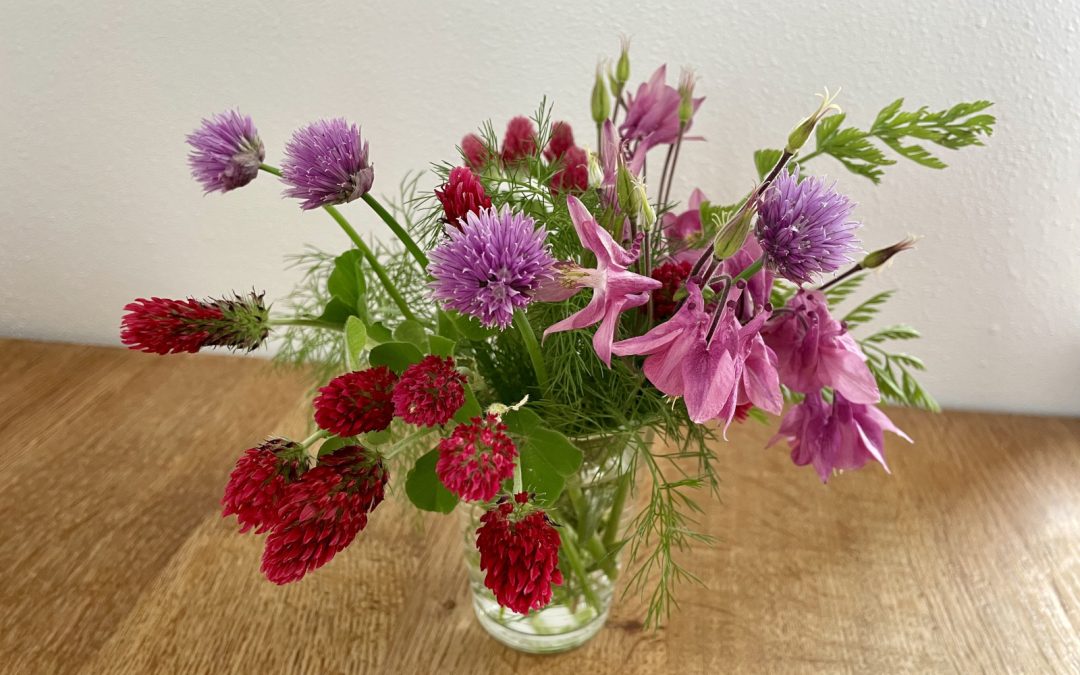 Zpěv jako cesta k přijetí sebe sama