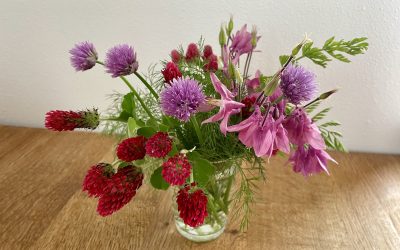 Zpěv jako cesta k přijetí sebe sama